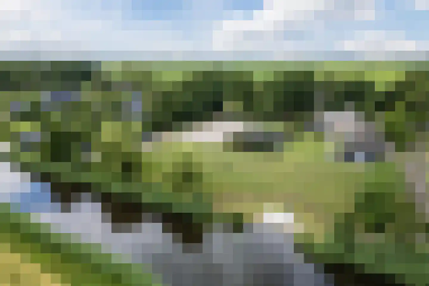 Ommerkanaal 10 a Dedemsvaart foto 3