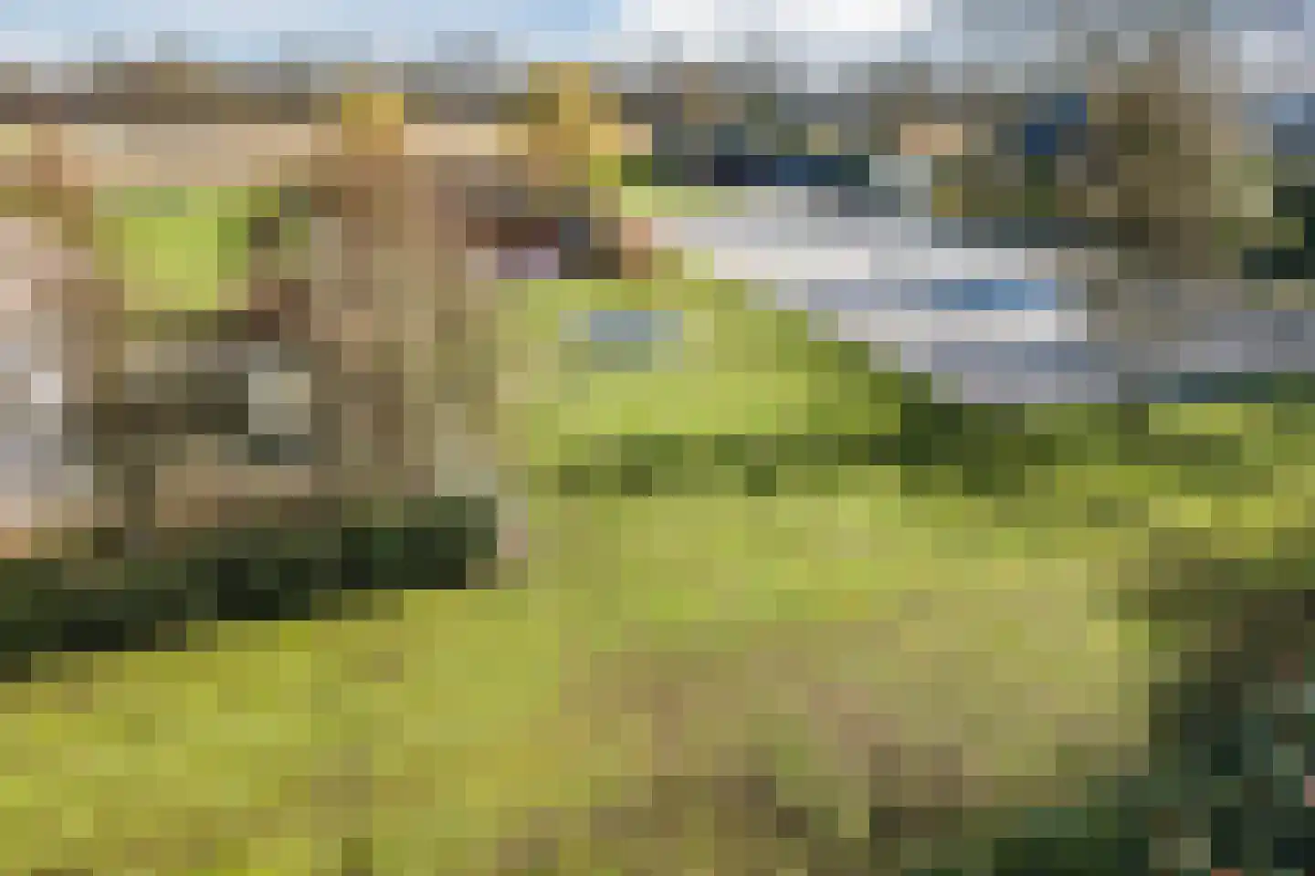 Ommerkanaal 10 a Dedemsvaart thumbnail 4