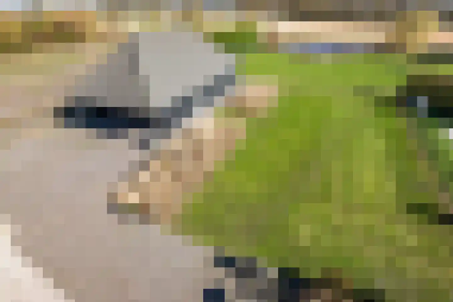 Ommerkanaal 10 a Dedemsvaart thumbnail 49