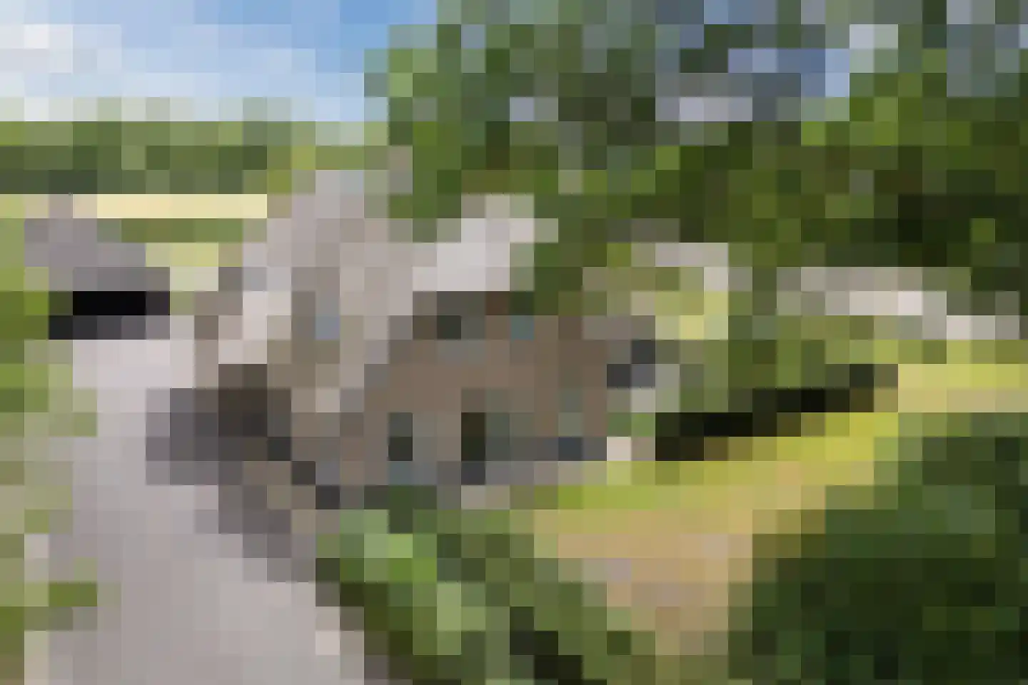 Ommerkanaal 10 a Dedemsvaart thumbnail 5