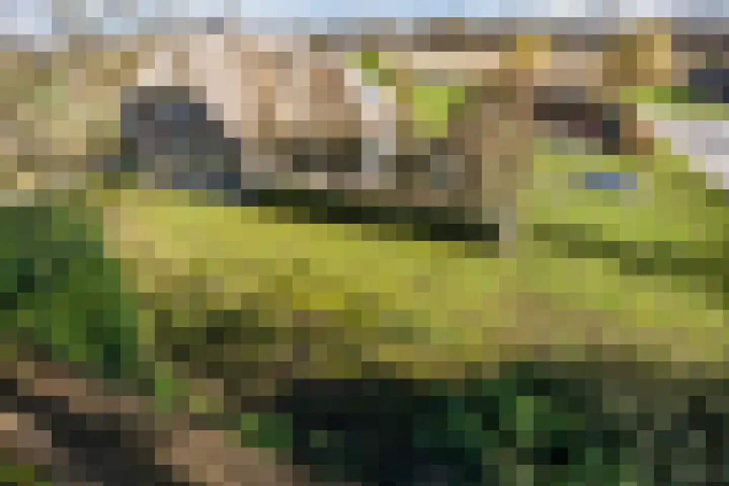 Ommerkanaal 10 a Dedemsvaart thumbnail 59