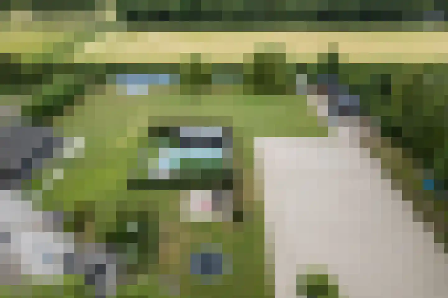 Ommerkanaal 10 a Dedemsvaart thumbnail 74