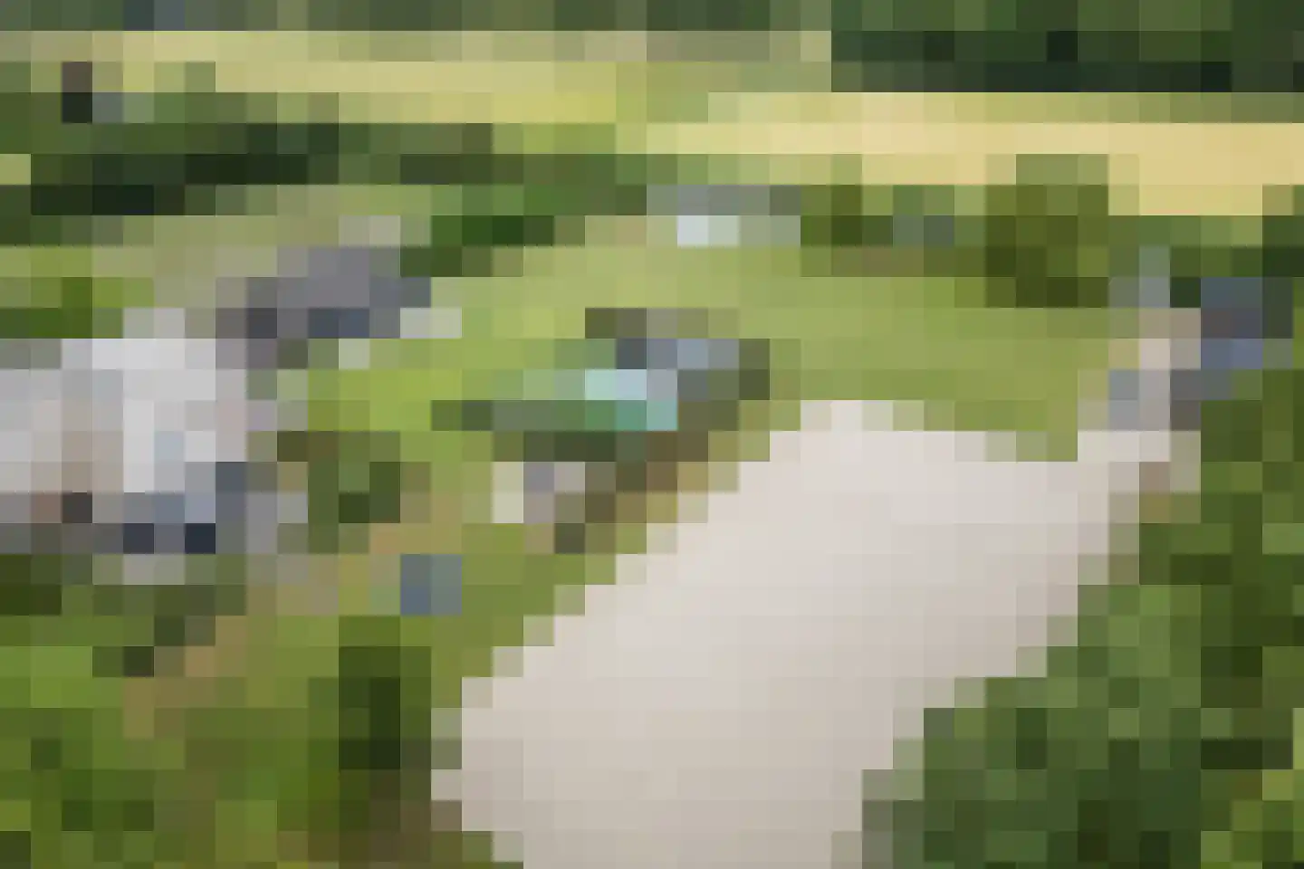 Ommerkanaal 10 a Dedemsvaart thumbnail 79
