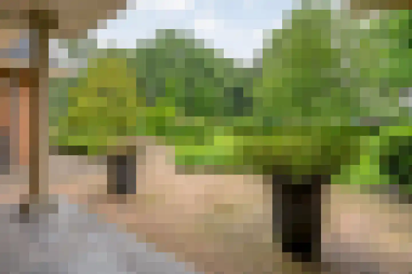 Ommerkanaal 23 Dedemsvaart thumbnail 12