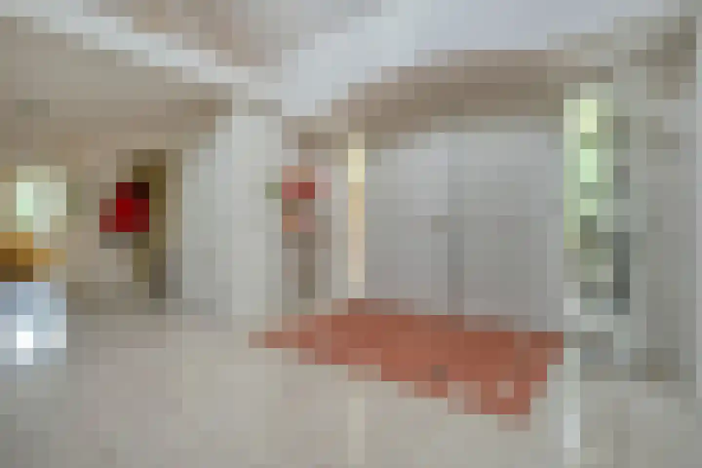 Ommerkanaal 23 Dedemsvaart thumbnail 13