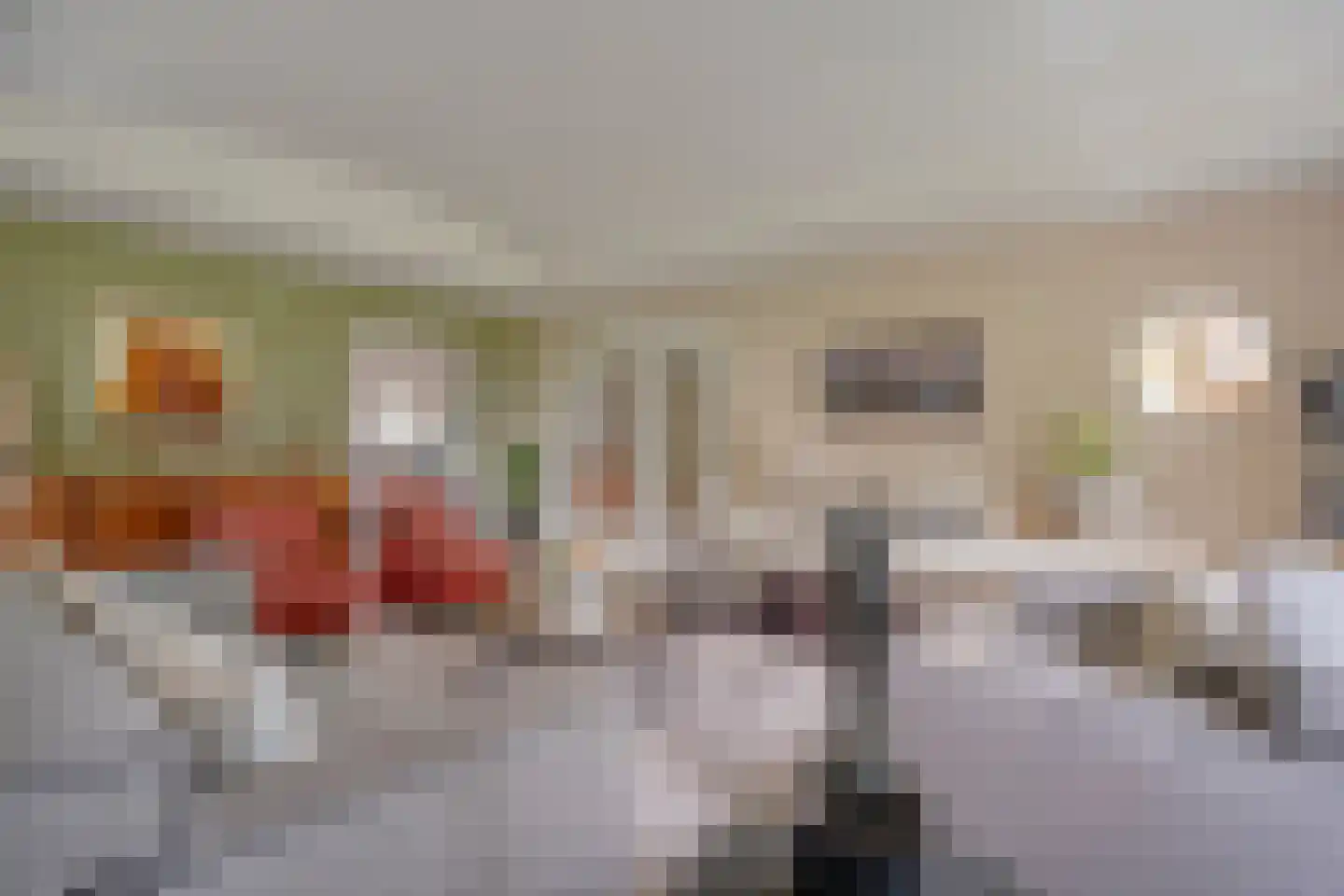 Ommerkanaal 23 Dedemsvaart thumbnail 18