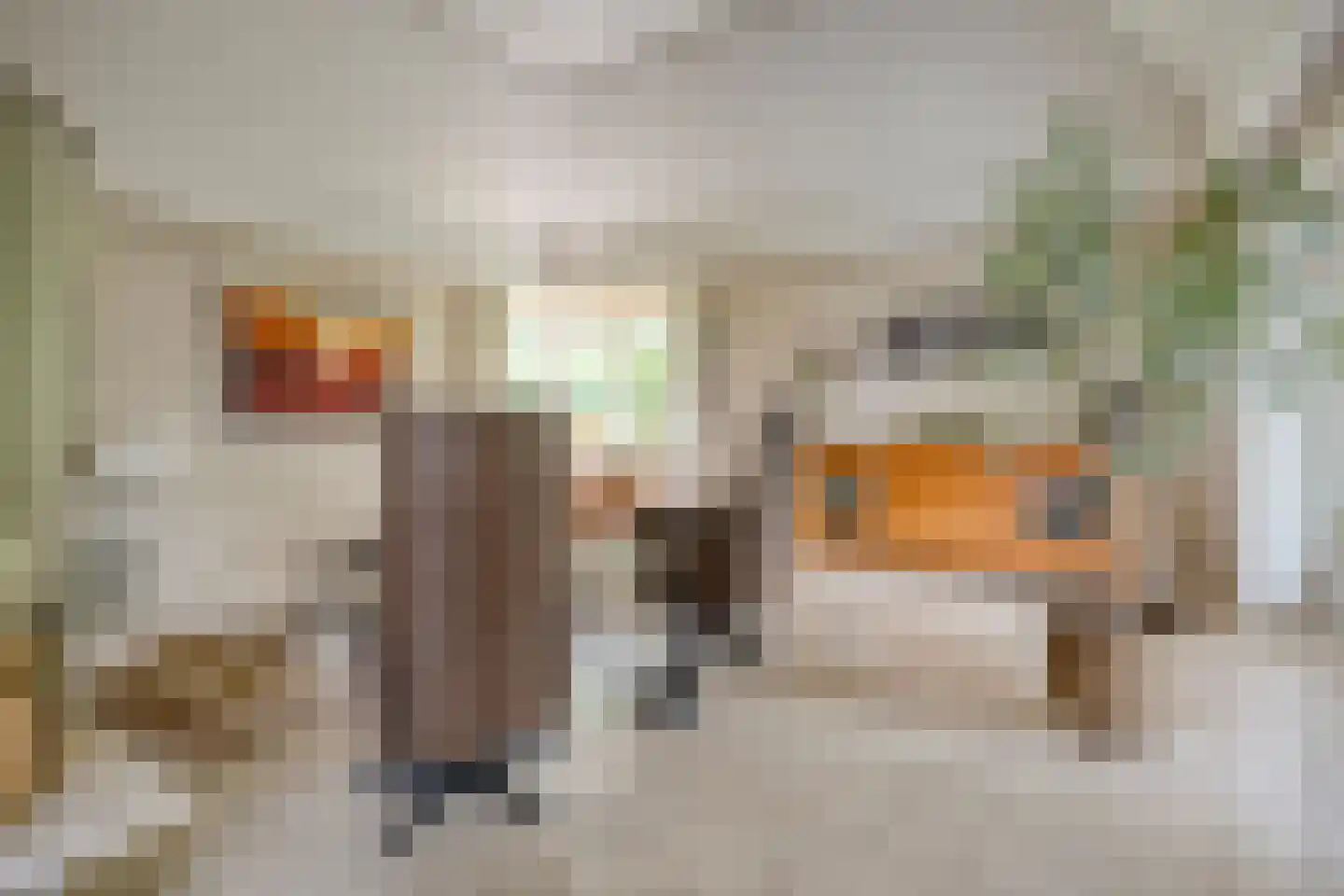 Ommerkanaal 23 Dedemsvaart thumbnail 22