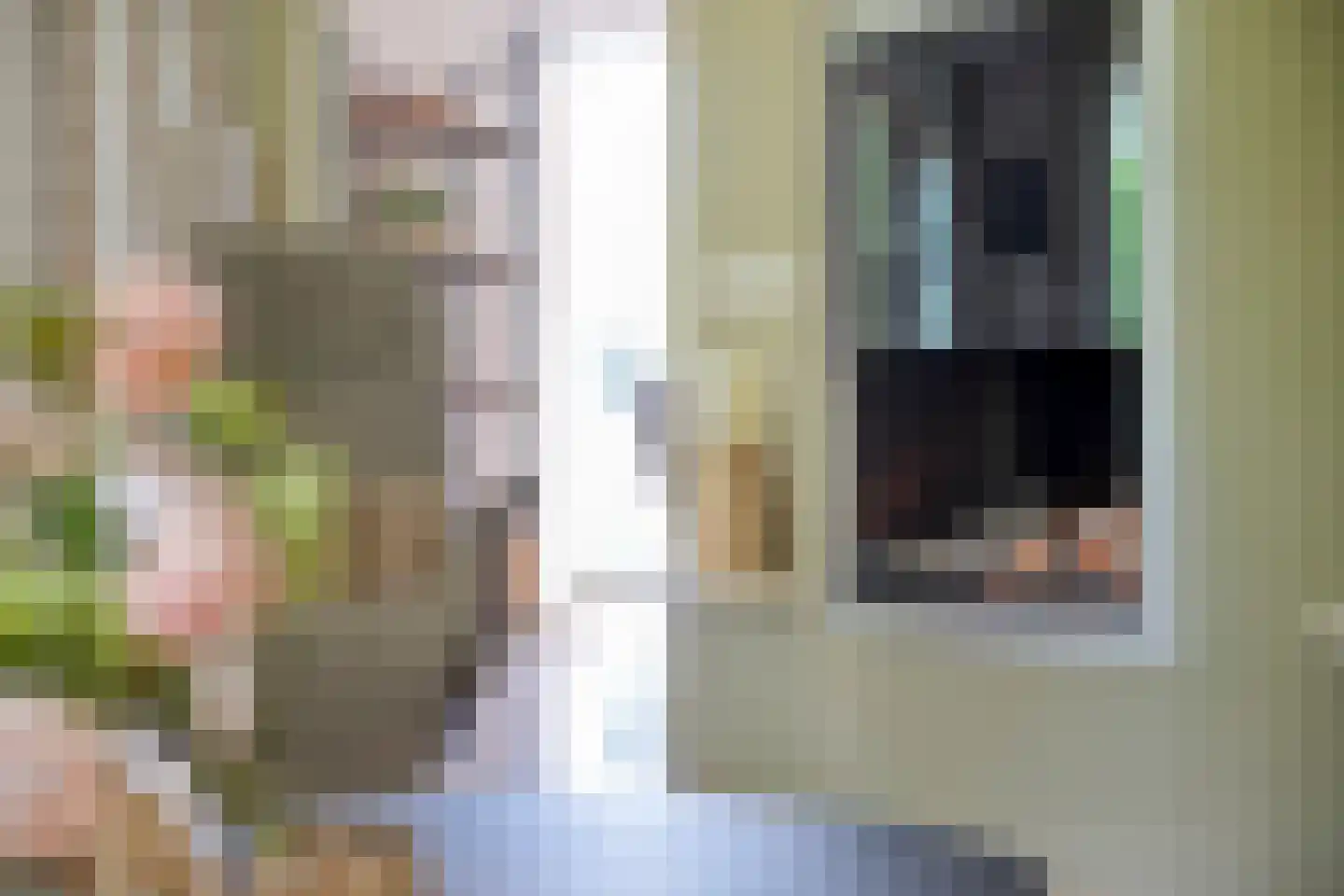 Ommerkanaal 23 Dedemsvaart thumbnail 24