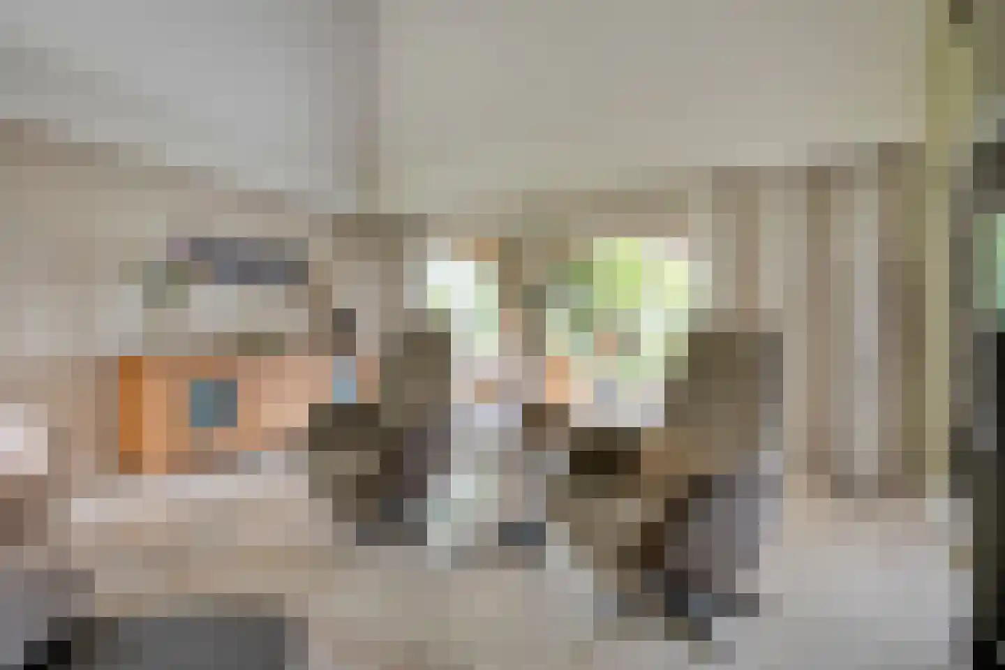 Ommerkanaal 23 Dedemsvaart thumbnail 25