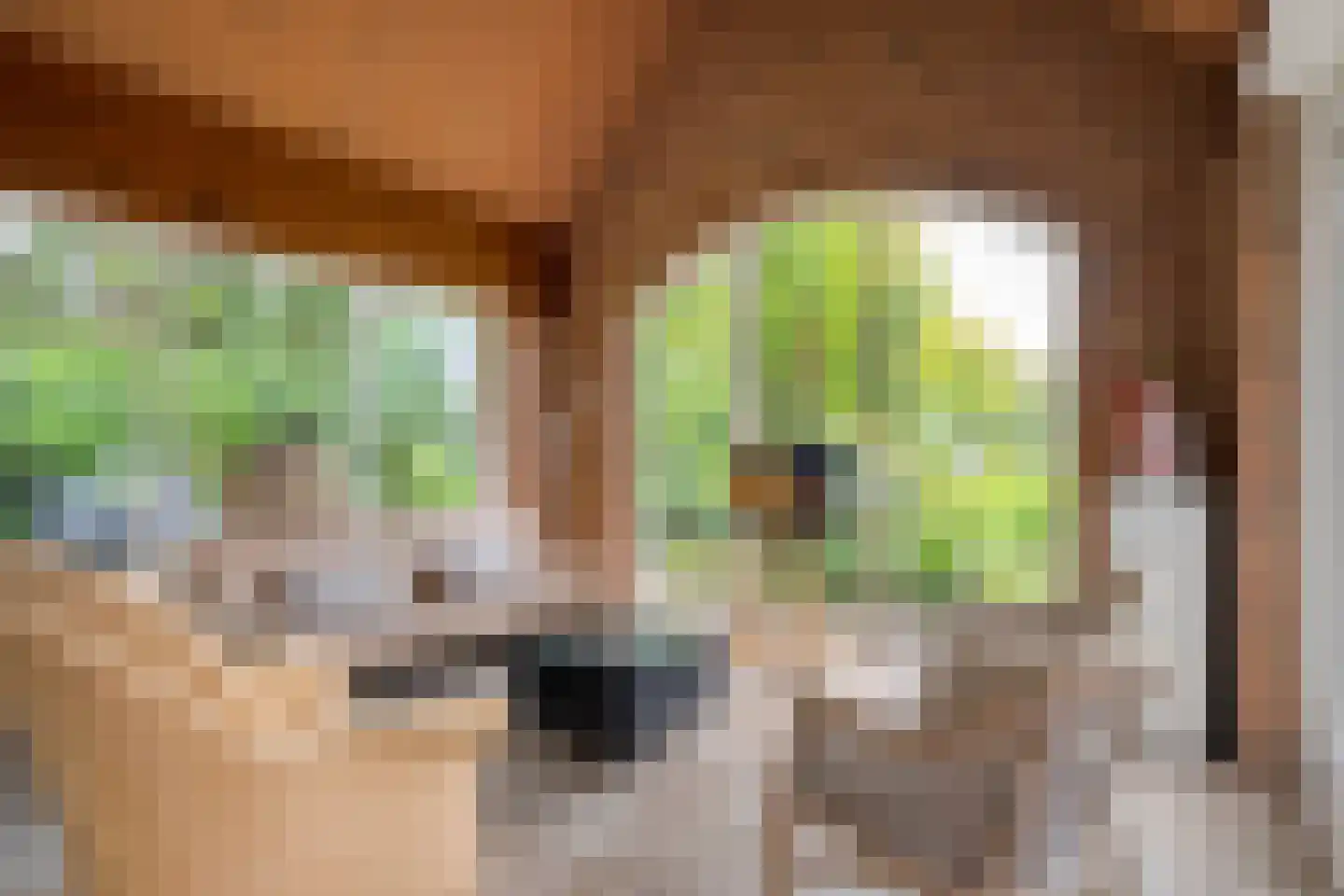 Ommerkanaal 23 Dedemsvaart thumbnail 26