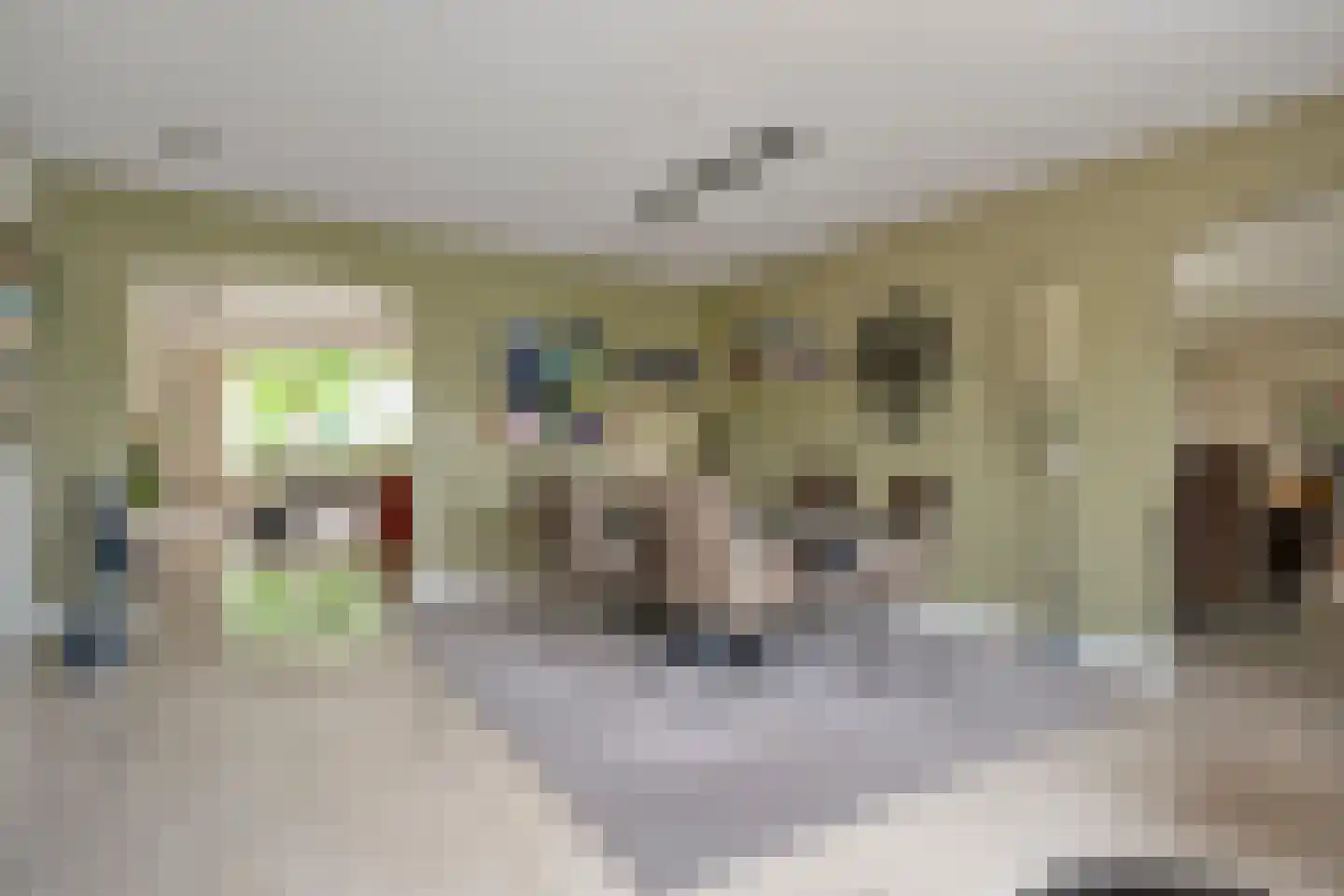 Ommerkanaal 23 Dedemsvaart thumbnail 28