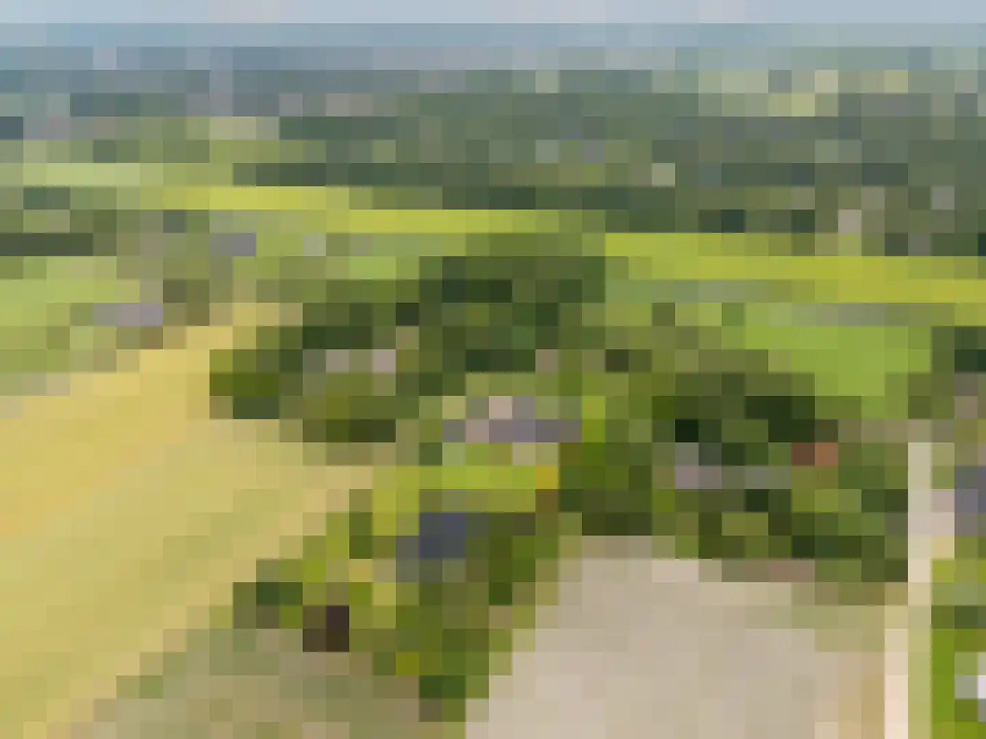 Ommerkanaal 23 Dedemsvaart thumbnail 4