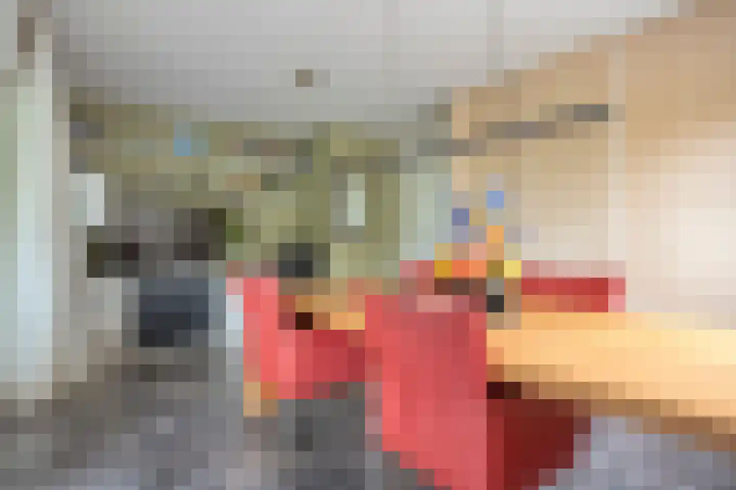 Ommerkanaal 23 Dedemsvaart thumbnail 41