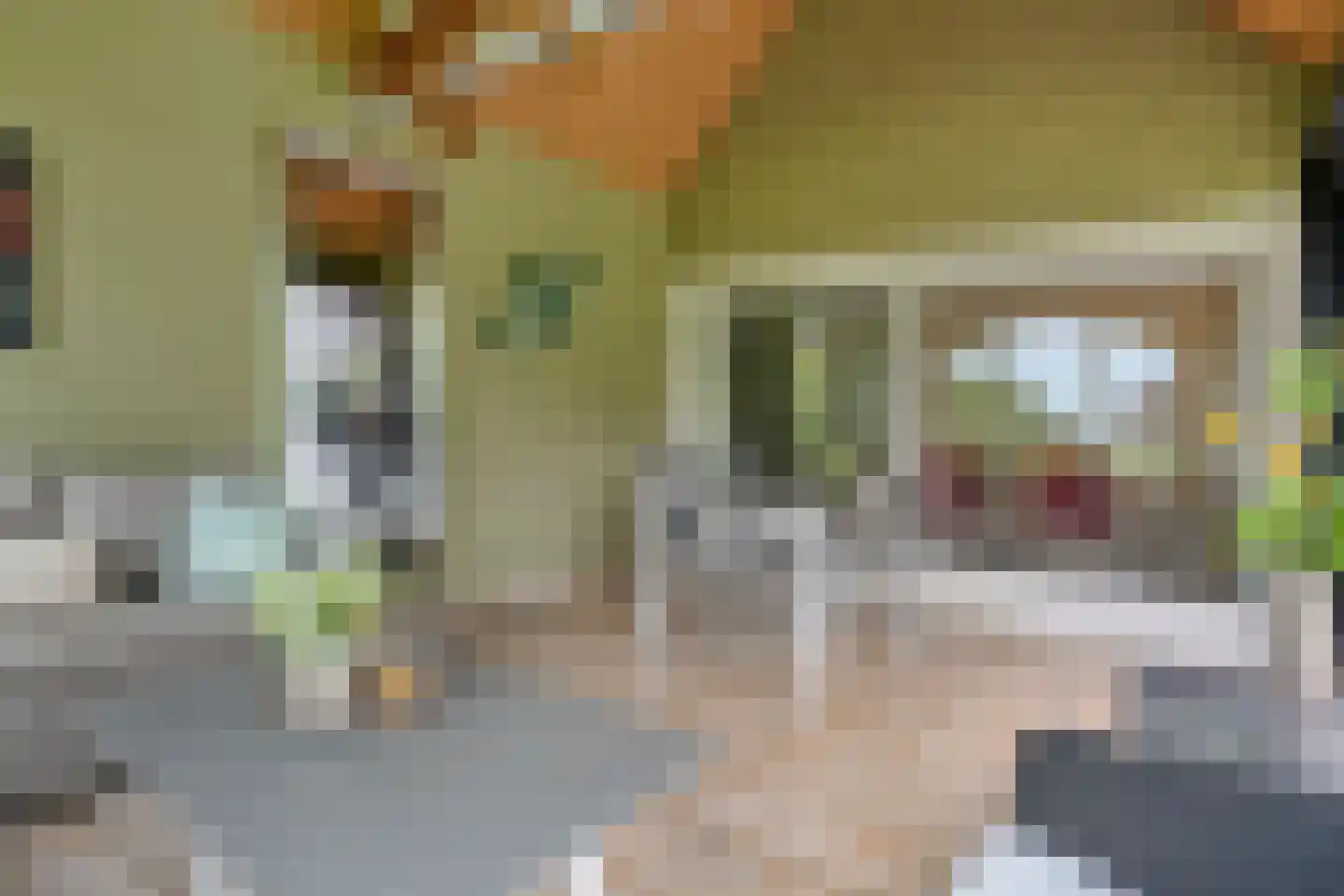 Ommerkanaal 23 Dedemsvaart thumbnail 42