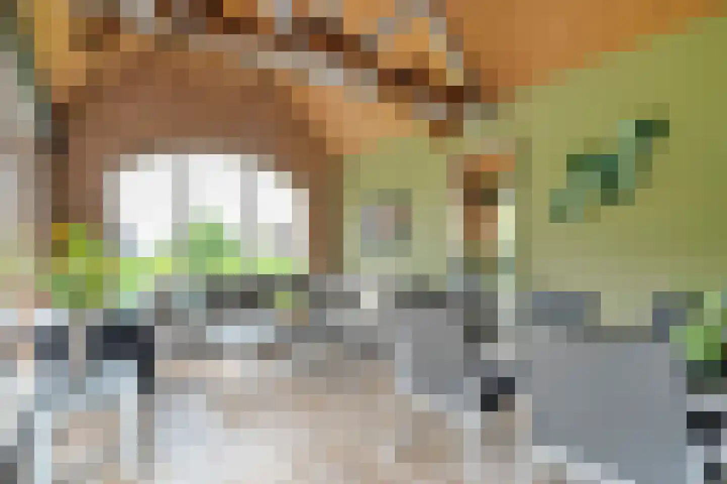 Ommerkanaal 23 Dedemsvaart thumbnail 43