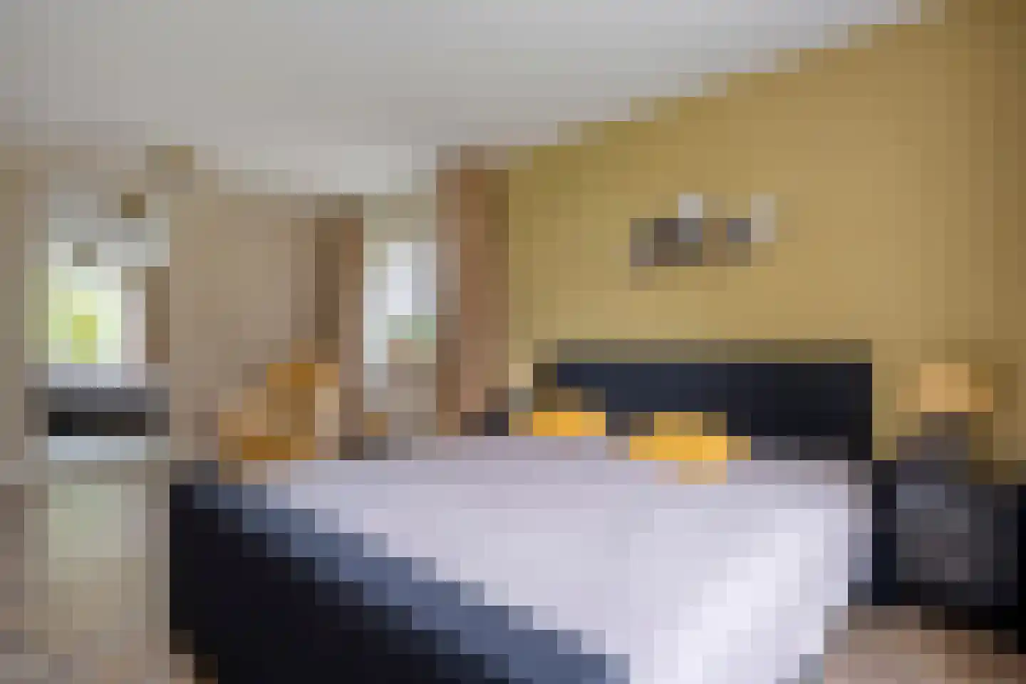 Ommerkanaal 23 Dedemsvaart thumbnail 45