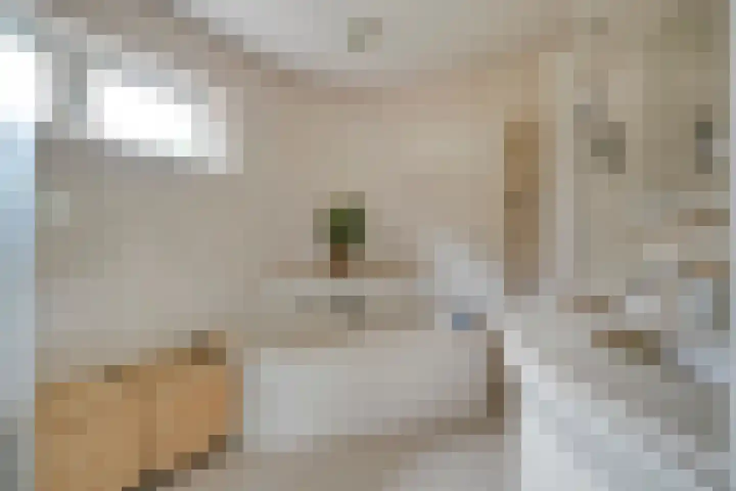 Ommerkanaal 23 Dedemsvaart thumbnail 47