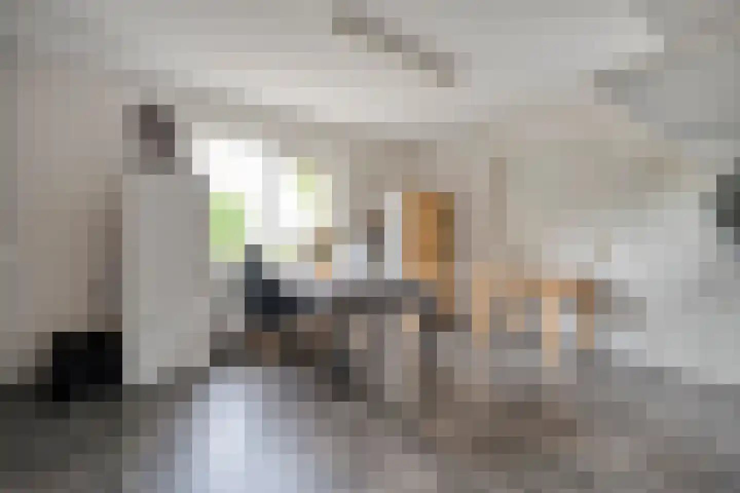 Ommerkanaal 23 Dedemsvaart thumbnail 51