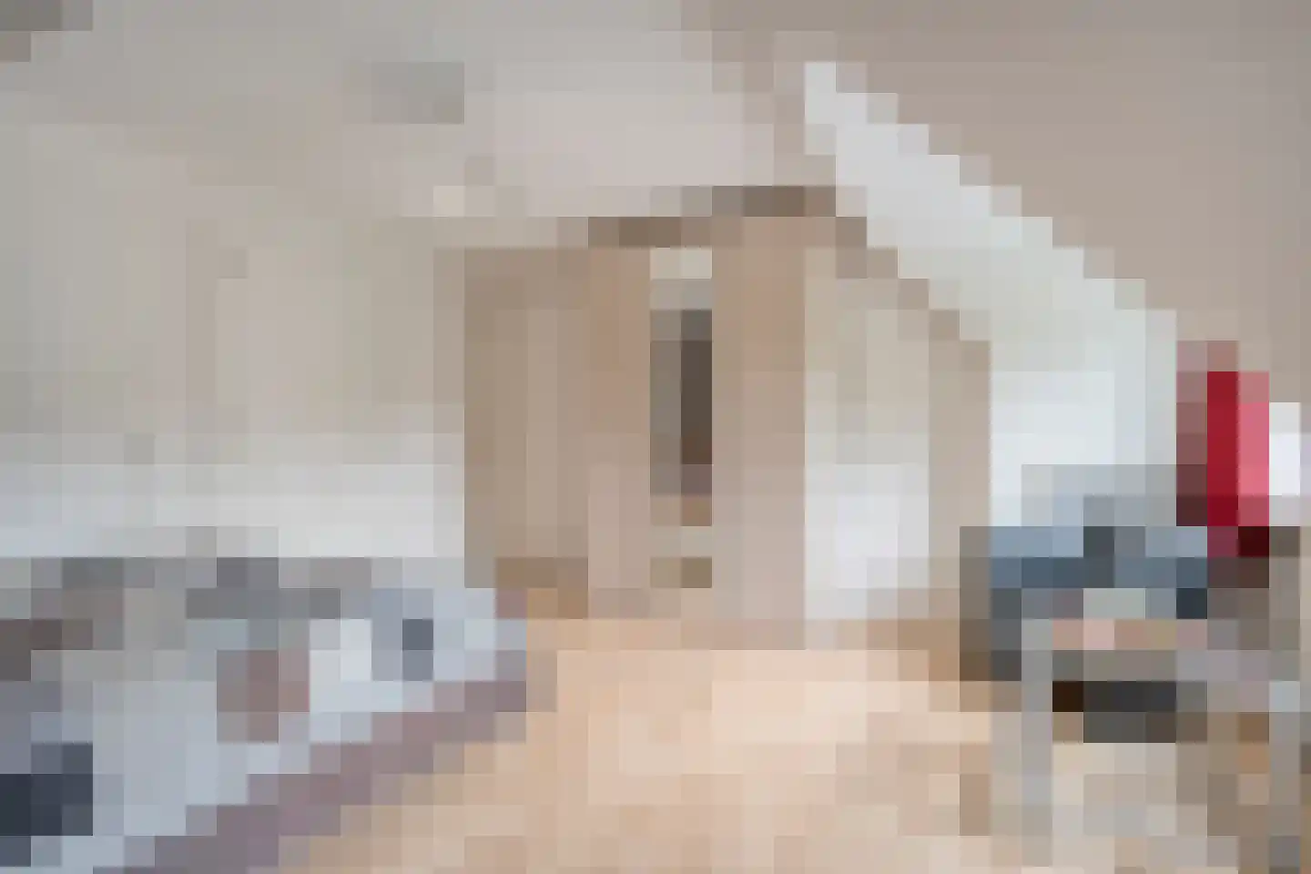 Ommerkanaal 23 Dedemsvaart thumbnail 58