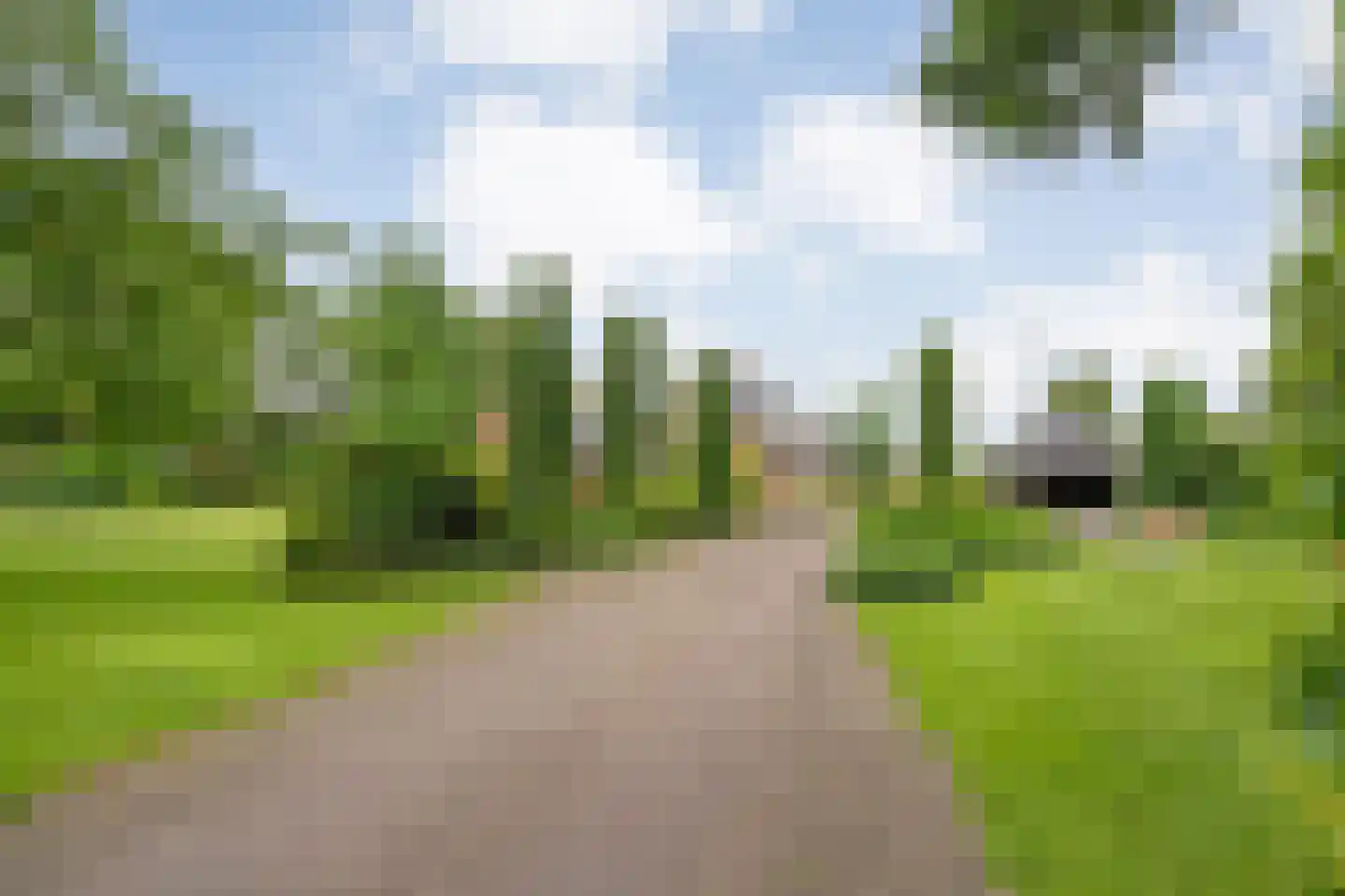 Ommerkanaal 23 Dedemsvaart thumbnail 6
