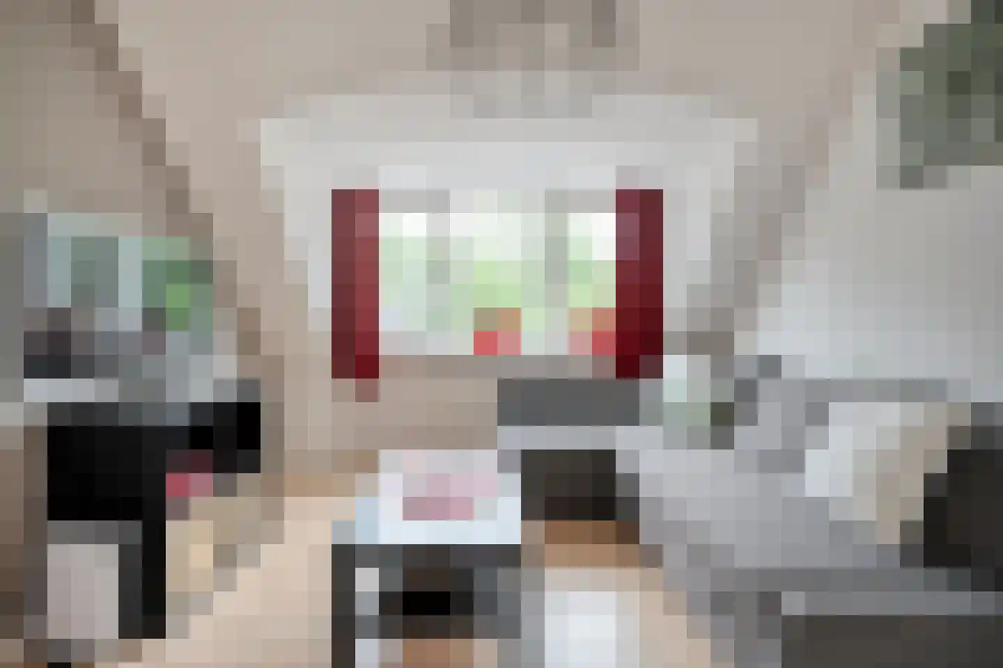 Ommerkanaal 23 Dedemsvaart thumbnail 60