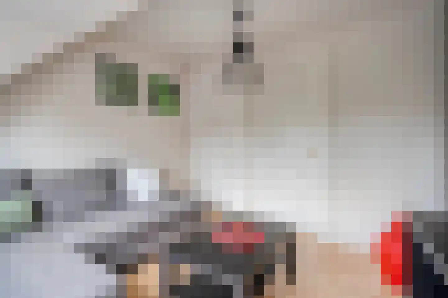 Ommerkanaal 23 Dedemsvaart thumbnail 61