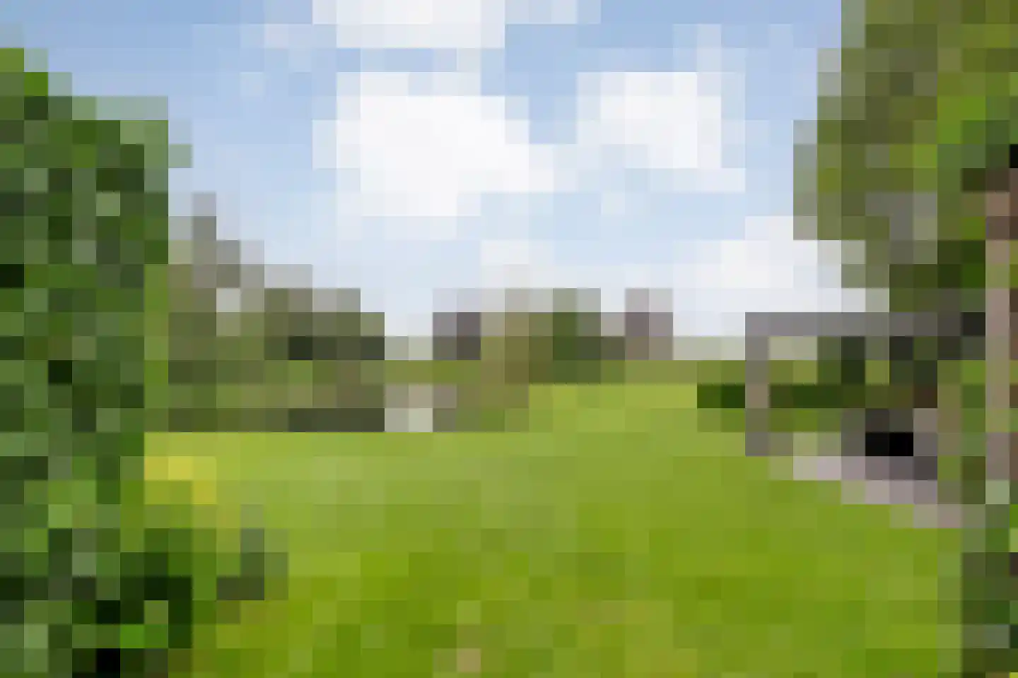 Ommerkanaal 23 Dedemsvaart thumbnail 74