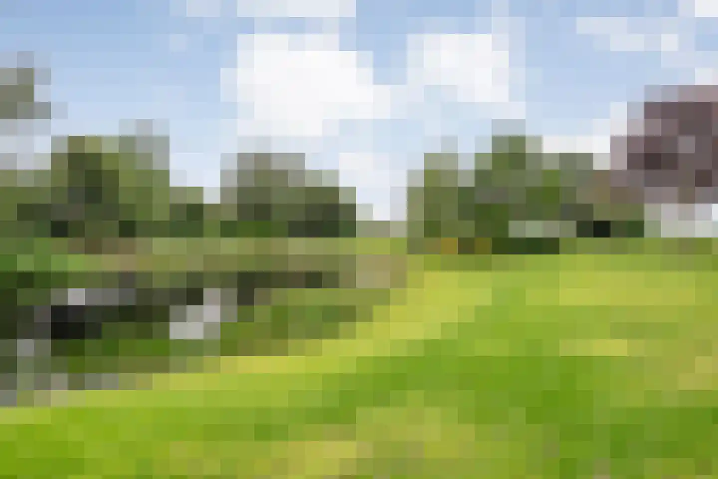 Ommerkanaal 23 Dedemsvaart thumbnail 79