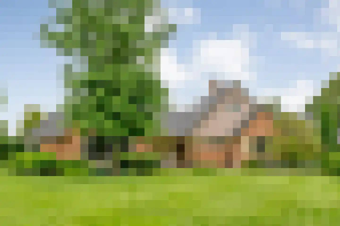 Ommerkanaal 23 Dedemsvaart thumbnail 8
