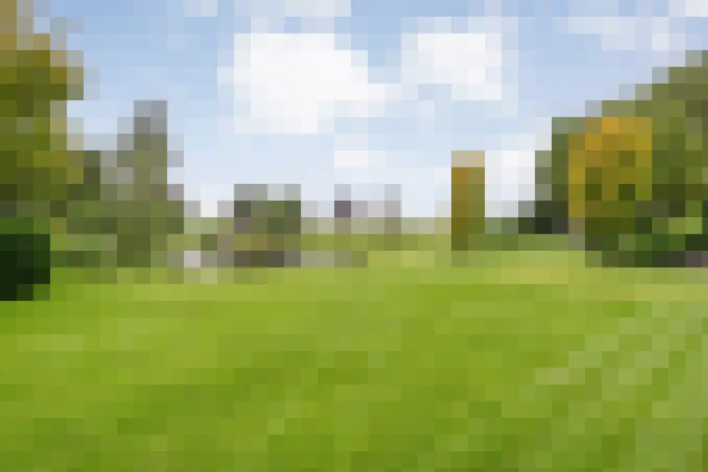 Ommerkanaal 23 Dedemsvaart thumbnail 83