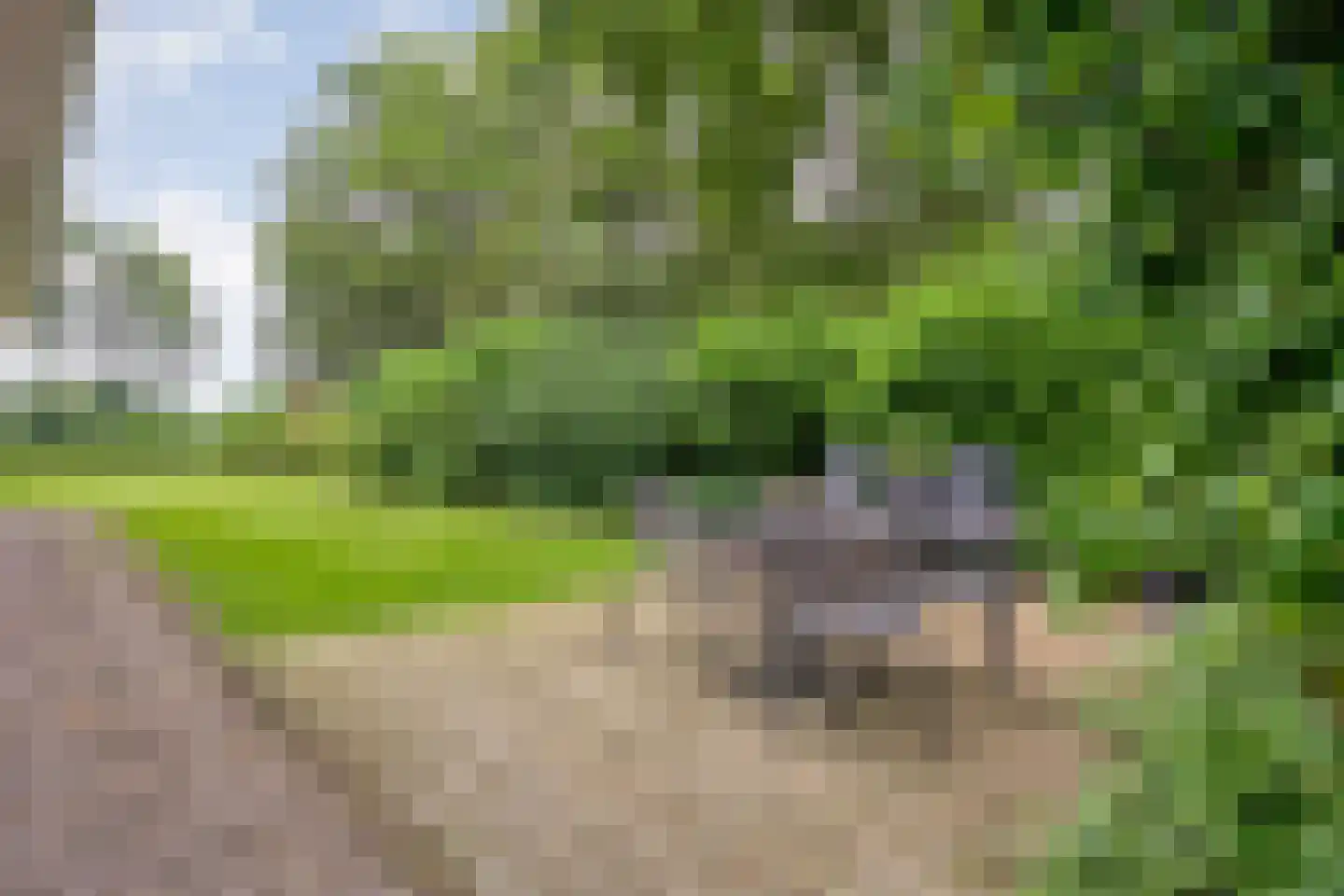 Ommerkanaal 23 Dedemsvaart thumbnail 84