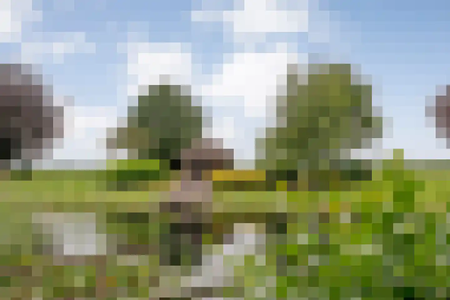Ommerkanaal 23 Dedemsvaart thumbnail 85