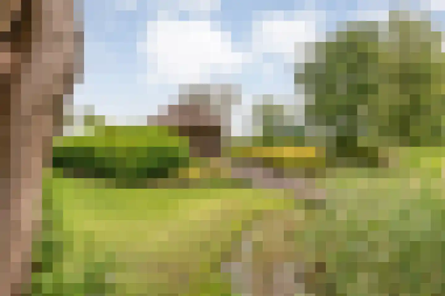 Ommerkanaal 23 Dedemsvaart thumbnail 87
