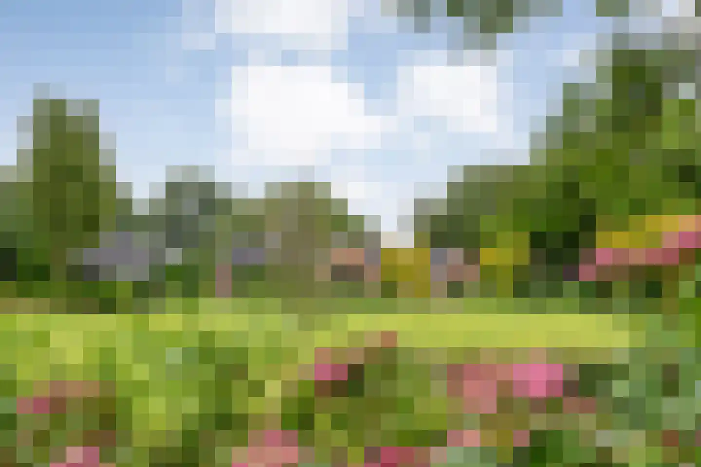 Ommerkanaal 23 Dedemsvaart thumbnail 91