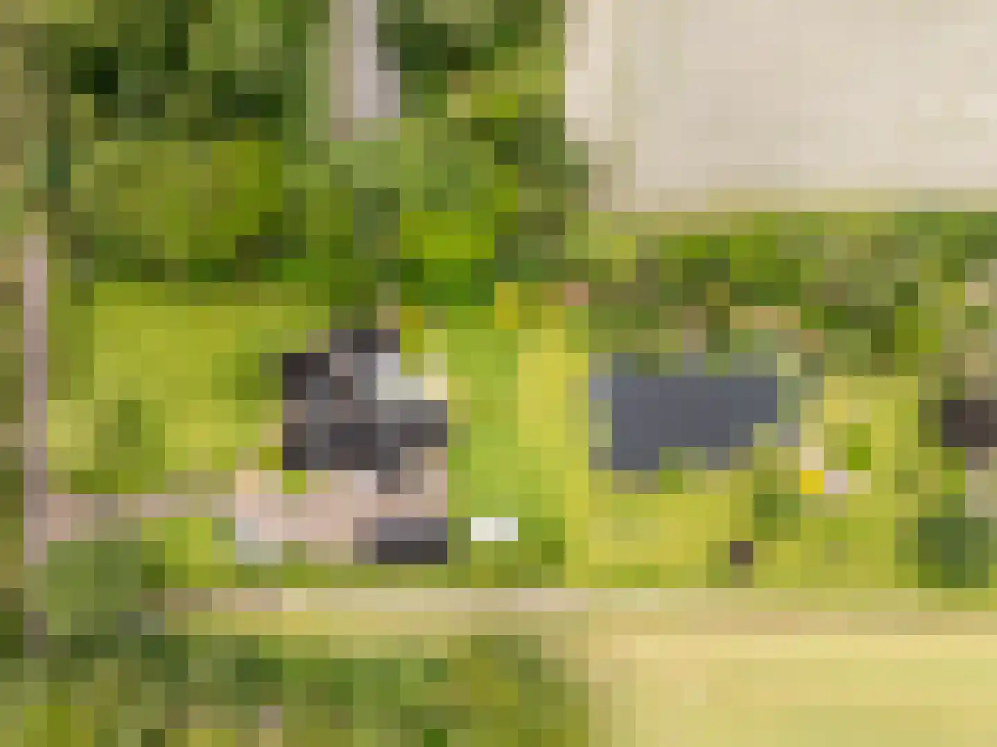 Ommerkanaal 23 Dedemsvaart thumbnail 93
