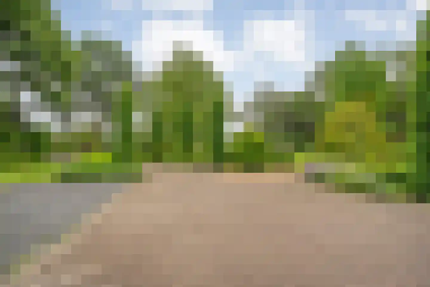 Ommerkanaal 23 Dedemsvaart thumbnail 96