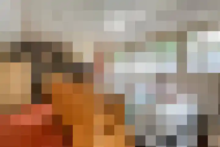 Ommerkanaal 35 Dedemsvaart thumbnail 26