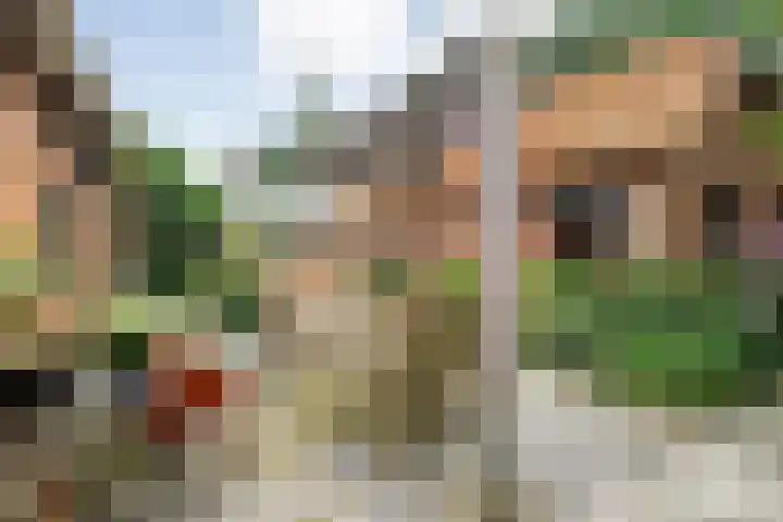 Ommerkanaal 35 Dedemsvaart thumbnail 30