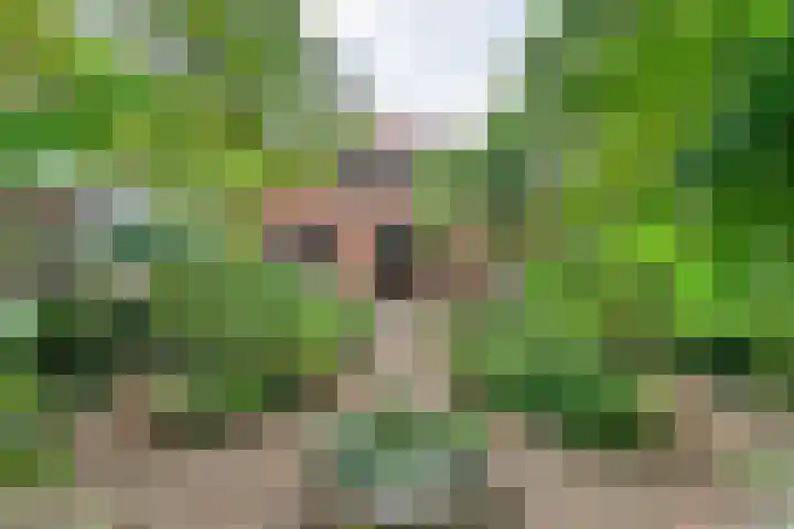Ommerkanaal 35 Dedemsvaart thumbnail 31