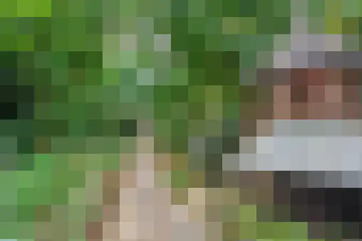 Ommerkanaal 35 Dedemsvaart thumbnail 32