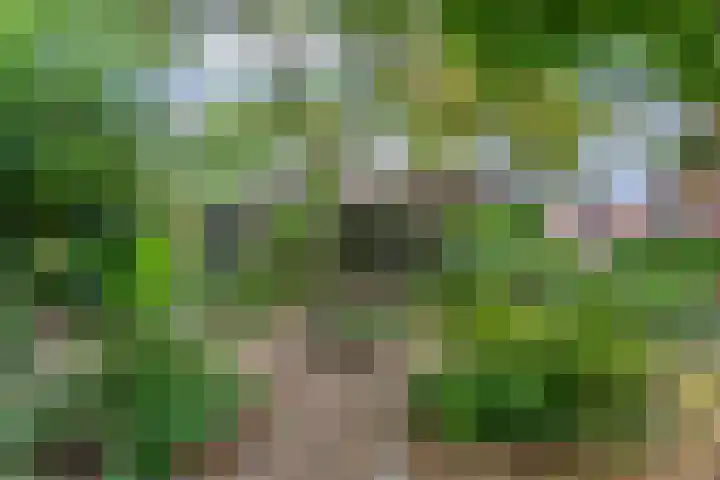 Ommerkanaal 35 Dedemsvaart thumbnail 33