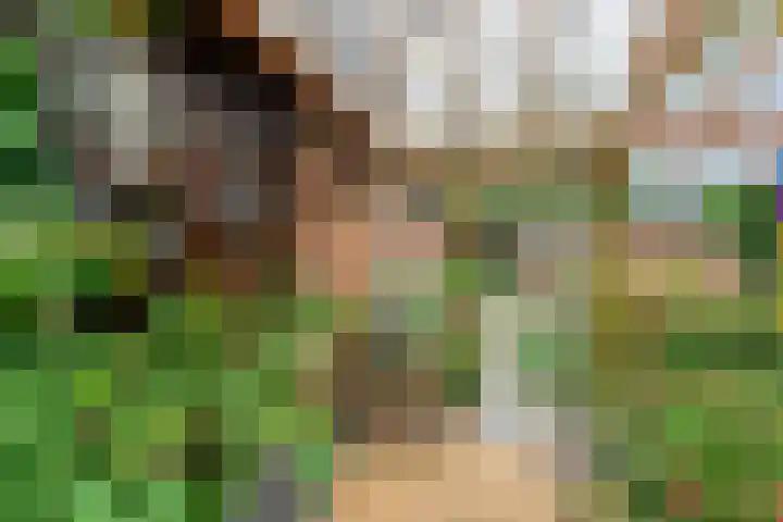 Ommerkanaal 35 Dedemsvaart thumbnail 34