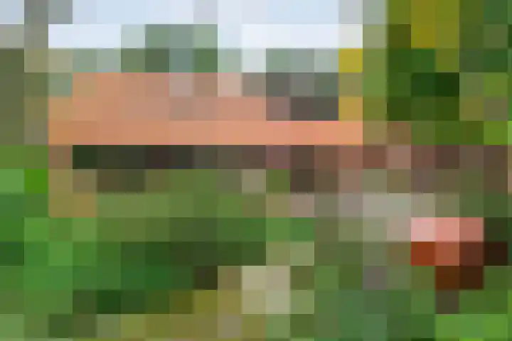 Ommerkanaal 35 Dedemsvaart thumbnail 35