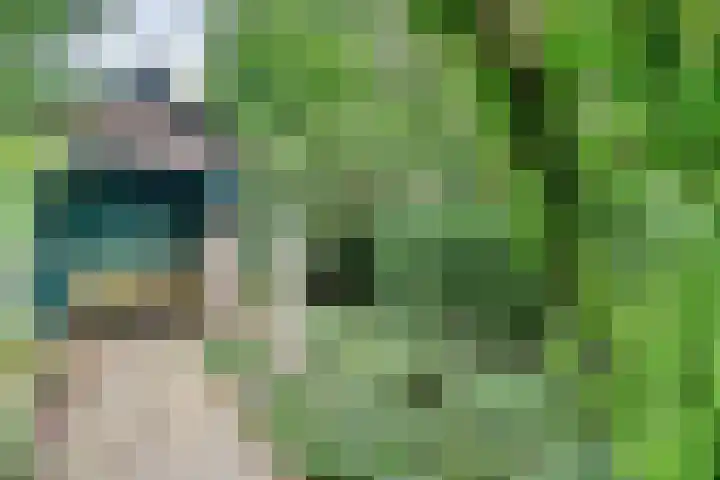 Ommerkanaal 35 Dedemsvaart thumbnail 36