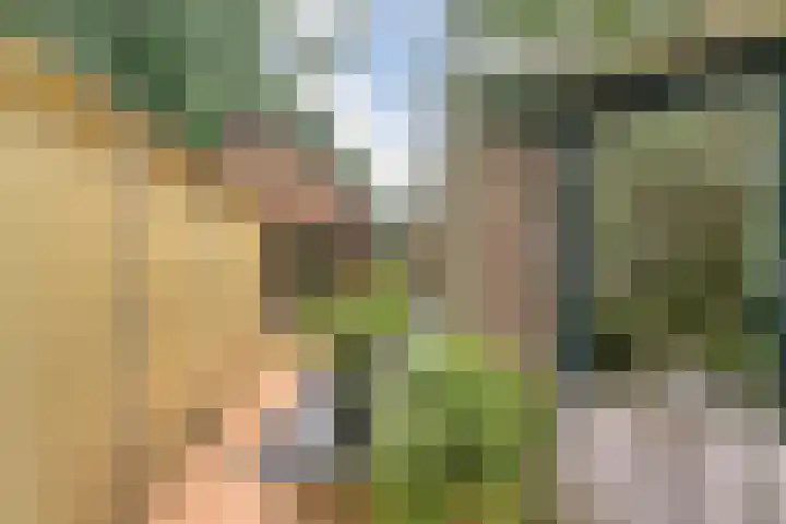 Ommerkanaal 35 Dedemsvaart thumbnail 37