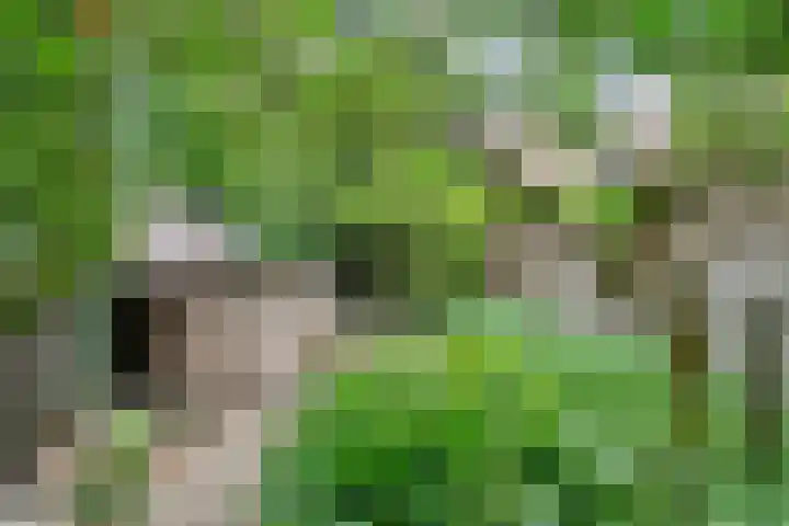 Ommerkanaal 35 Dedemsvaart thumbnail 38