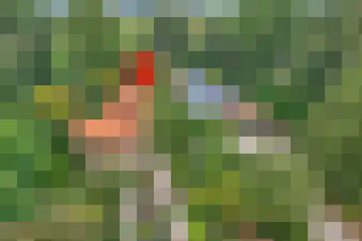 Ommerkanaal 35 Dedemsvaart thumbnail 4