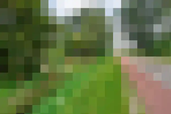 Ommerkanaal 35 Dedemsvaart thumbnail 5