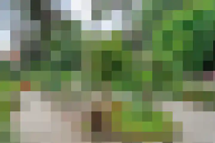 Ommerkanaal 35 Dedemsvaart thumbnail 8