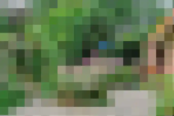 Ommerkanaal 35 Dedemsvaart thumbnail 9